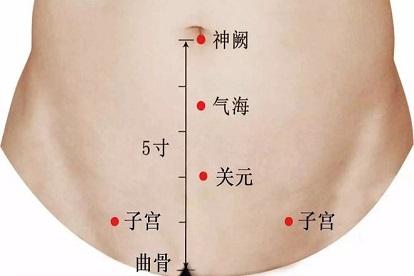 关元穴穴位示意图