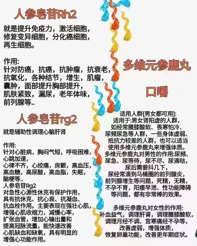世宴公司人参皂苷系列产品介绍