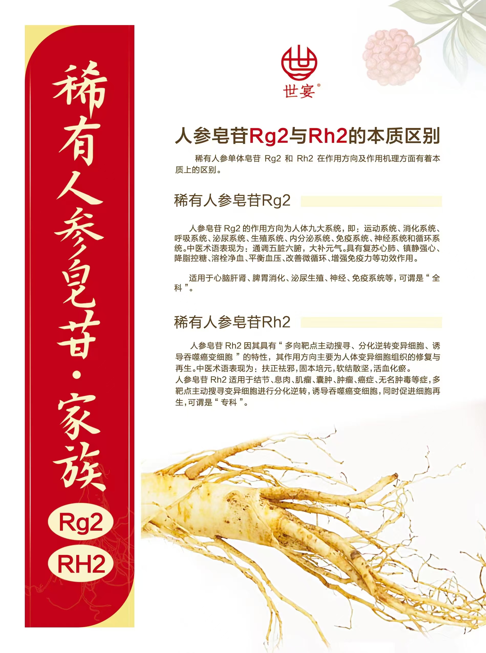 产品 2